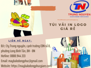 túi vải in logo giá rẻ